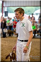 LCFAIR-081318-1619.jpg