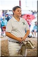 LCFAIR-081318-1620.jpg