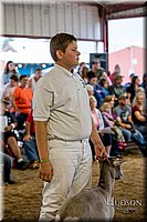 LCFAIR-081318-1624.jpg