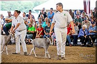 LCFAIR-081318-1625.jpg