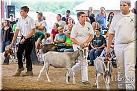 LCFAIR-081318-1626.jpg