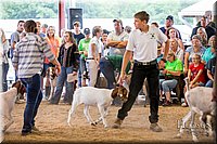 LCFAIR-081318-1627.jpg