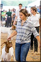LCFAIR-081318-1629.jpg