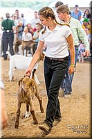 LCFAIR-081318-1630.jpg