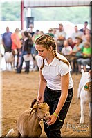 LCFAIR-081318-1631.jpg