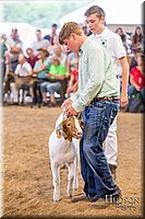 LCFAIR-081318-1632.jpg