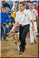 LCFAIR-081318-1647.jpg
