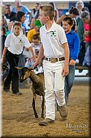 LCFAIR-081318-1649.jpg