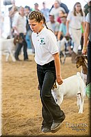 LCFAIR-081318-1655.jpg