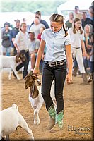 LCFAIR-081318-1656.jpg