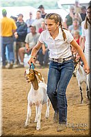 LCFAIR-081318-1662.jpg