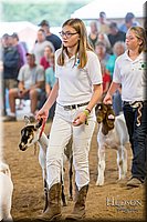 LCFAIR-081318-1664.jpg