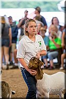 LCFAIR-081318-1668.jpg