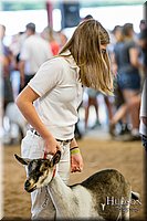 LCFAIR-081318-1669.jpg