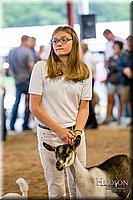 LCFAIR-081318-1671.jpg