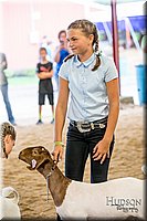LCFAIR-081318-1675.jpg