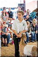 LCFAIR-081318-1681.jpg