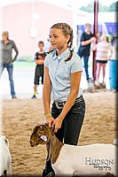 LCFAIR-081318-1685.jpg