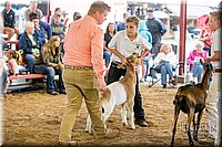 LCFAIR-081318-1695.jpg