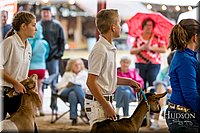 LCFAIR-081318-1700.jpg
