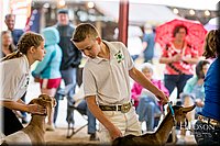 LCFAIR-081318-1701.jpg