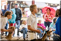 LCFAIR-081318-1702.jpg