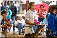 LCFAIR-081318-1703.jpg