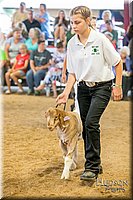 LCFAIR-081318-1704.jpg
