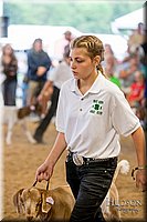 LCFAIR-081318-1705.jpg