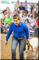 LCFAIR-081318-1708.jpg