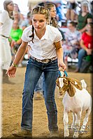 LCFAIR-081318-1712.jpg
