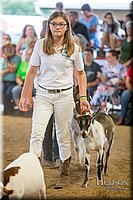 LCFAIR-081318-1716.jpg