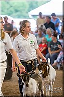 LCFAIR-081318-1717.jpg