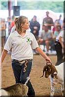 LCFAIR-081318-1718.jpg