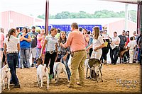 LCFAIR-081318-1734.jpg