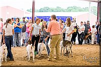 LCFAIR-081318-1735.jpg