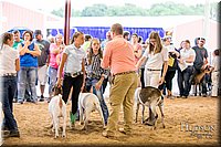 LCFAIR-081318-1736.jpg