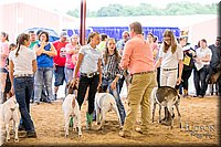 LCFAIR-081318-1737.jpg