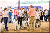 LCFAIR-081318-1738.jpg