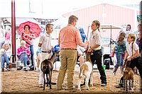 LCFAIR-081318-1739.jpg