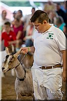 LCFAIR-081318-1750.jpg