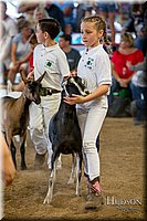 LCFAIR-081318-1751.jpg