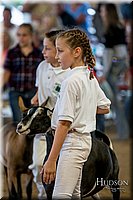 LCFAIR-081318-1752.jpg