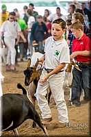 LCFAIR-081318-1753.jpg