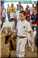 LCFAIR-081318-1754.jpg