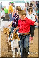 LCFAIR-081318-1755.jpg