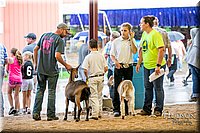 LCFAIR-081318-1895.jpg