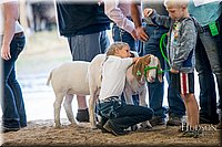 LCFAIR-081318-1900.jpg