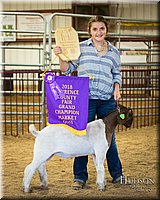 LCFAIR-081318-2015.jpg