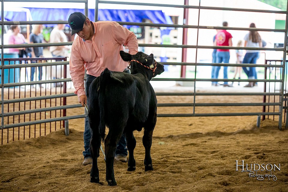 LCFAIR-081318-1416.jpg